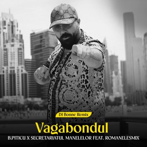 Vagabondul (Dj Bonne Remix)