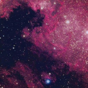 Stay in Your Lane (feat. Xp & G-Mo Skee) (Explicit)