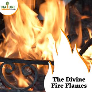 The Divine Fire Flames