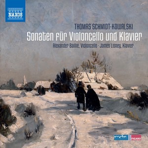 Cello Sonata No. 1 in D Minor, Op. 4 - II. Allegretto