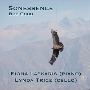 Sonessence