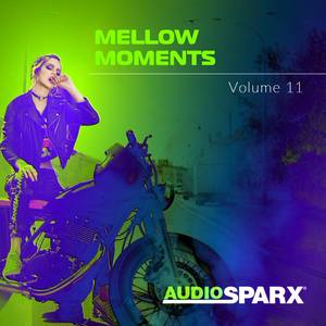 Mellow Moments Volume 11