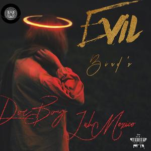 Evil Birds (feat. DoeBoy) (Explicit)