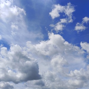 岳彩静 - 超全00大冒险