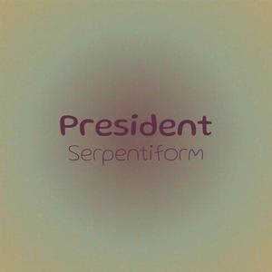 President Serpentiform