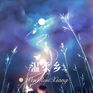 我爱她轰轰烈烈最疯狂 (Remix)