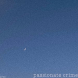passionate crime