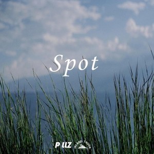 Spot