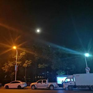 一千零一次我爱你