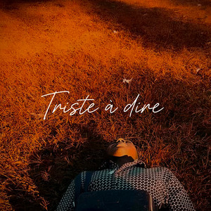 Triste à dire (Explicit)