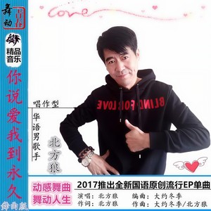 你说爱我到永久 (舞曲版)