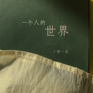 一个人的世界 (DJ沈念版)