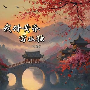 我借黄昏写孤独