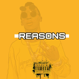 Reasons (Explicit)