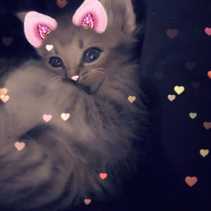 Want You (feat. 4Sona) (Explicit)