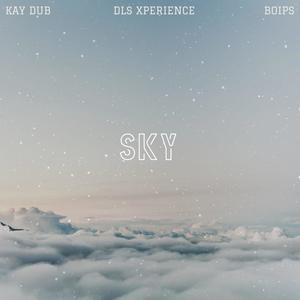 Sky.mp3 (feat. Kaydub55 & Boips)