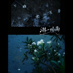淋一场雨（湿了眼睛看谁都像你）