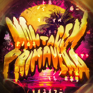 MONTAGEM PRIMAVERA (Slowed)