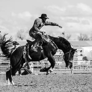 Chileense rodeo