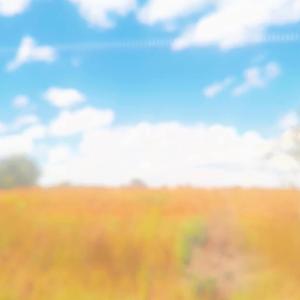 drunk w ur friends (Explicit)