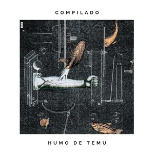 Con el Don de Iluminar