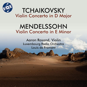 Violin Concerto in E Minor, Op. 64, MWV O14 - Violin Concerto in E Minor, Op. 64, MWV O14: II. Andante