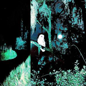 ONE EYE OPEN (feat. Angelscantsin) (Explicit)