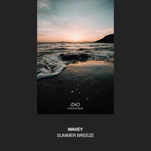 Summer Breeze