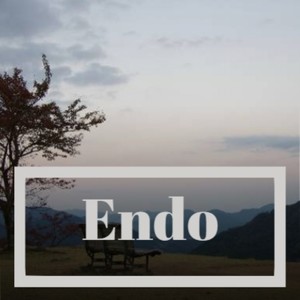 Endo