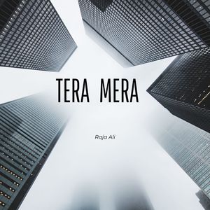 Tera Mera