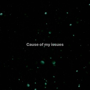 Cause Of My Issues(feat. aidan han & slayingibis) (Explicit)