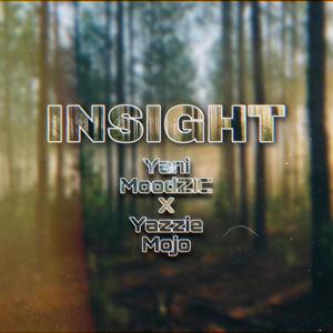 INSIGHT (feat. yazzie mojo)