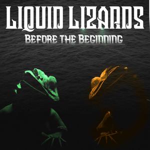 Lizard Cove (Liquid Lizards Remix)