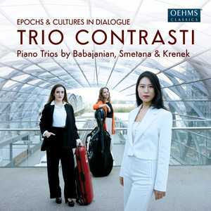 Piano Trio in G Minor, Op. 15 - I. Moderato assai