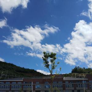 明天你是否依然爱我