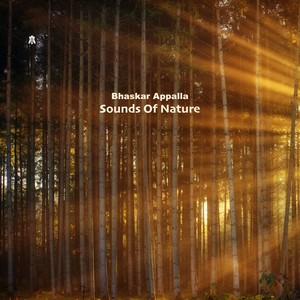 Sound of Nature