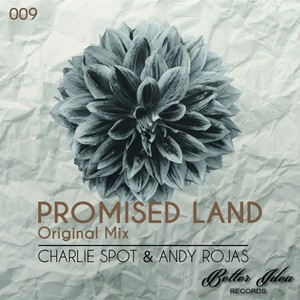 Promised Land (Original Mix)