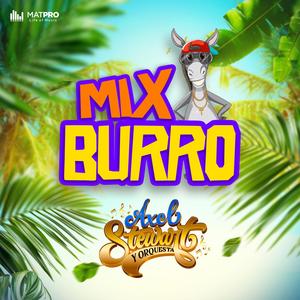 Mix Burro