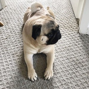 Белый потолок