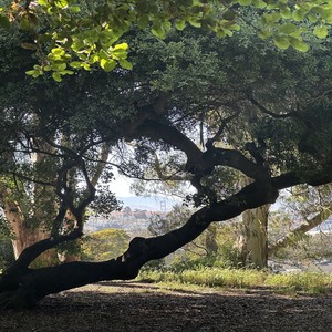 One Of Us Cannot Be Wrong