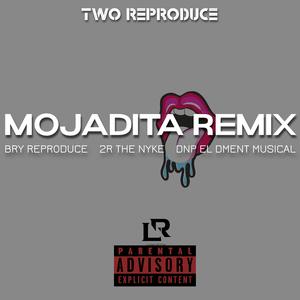 MOJADITA REMIX (feat. BRY REPRODUCE & DNP EL DMENT MUSICAL)