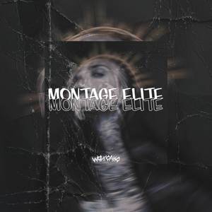 MONTAGE ELITE