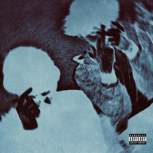 FR (Explicit)