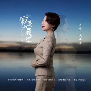 寂寞的夜里 (伴奏)