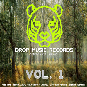 Drop Music Records (Synopsy Recordings) , Vol. 1