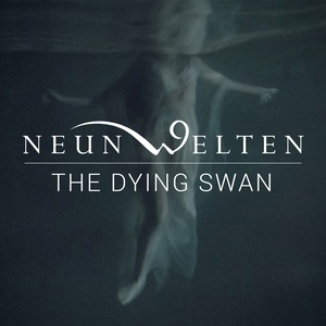 The Dying Swan