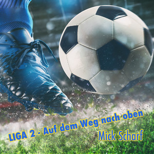 Auf dem Weg nach oben Eintracht Braunschweig (Liga2)