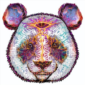 Waltzing Through the Forest(feat. Spiderhound & Bob Frank)