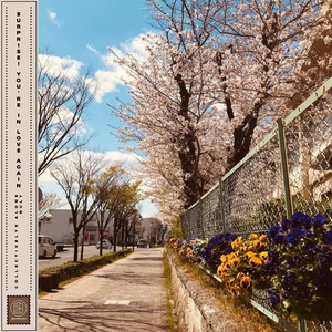 Surprise! You're In Love Again