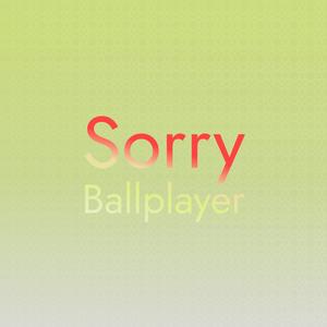 Sorry Ballplayer